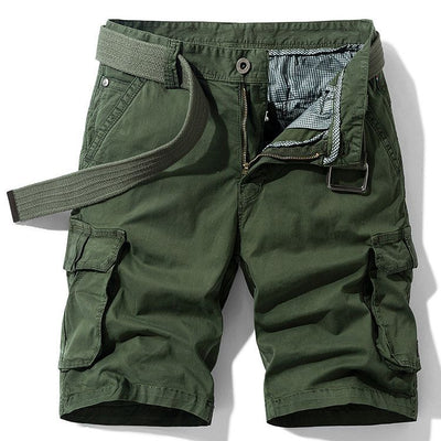 Brunetti's - Harbourline Shorts